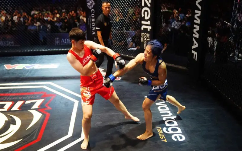 لماذا تحظى فنون القتال المختلطة (MMA) بهذه الجاذبية؟